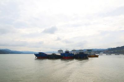 著力構建沿江綜合立體交通走廊——趙沖久在宜昌、武漢調研碼頭建設與管理