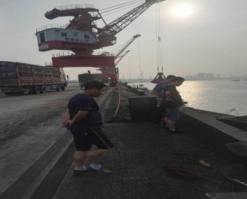 市交通運輸局赴岳陽港、常德港考察學習碼頭建設與管理經驗