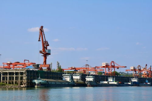 奮戰(zhàn)紅五月，瀘州水運吹響發(fā)展進軍號 碼頭建設(shè)與管理并舉，激活長江上游黃金水道